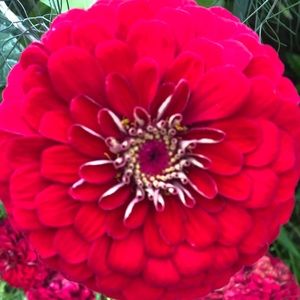 Meet your Posher, Jennafer